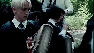 Công chúa Slytherin, Pansy Parkinson, một trong 28 dòng máu thuần khiết thánh thiện đã yêu Draco tro