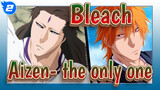 Bleach|Aizen-Standing at the top, I am the only one_2