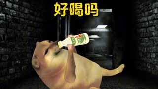 那些年听错的歌词！