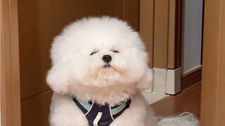 لكن يبدو أنه لا يرغب في الذهاب كثيرًا