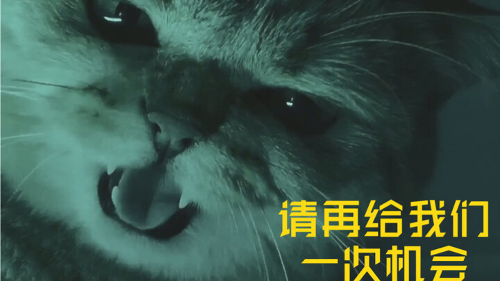 都说我花600块买的灯，只能拍出聊斋效果～可我不服！