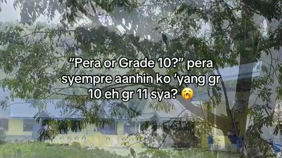grade 10 or grade 11