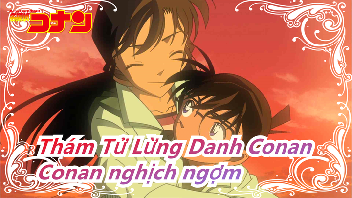 [Thám Tử Lừng Danh Conan] Conan nghịch ngợm_B