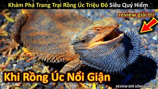 Khám Phá Trang Trại Triệu Đô Với Sinh Vật Kỳ Dị Có Năng Lực Đáng Sợ || Review Giải Trí Đời Sống