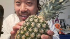 ASMR EATING SOUNDS - PINEAPPLE (1)