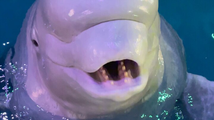 خدّ قطعة ثلج صغيرة