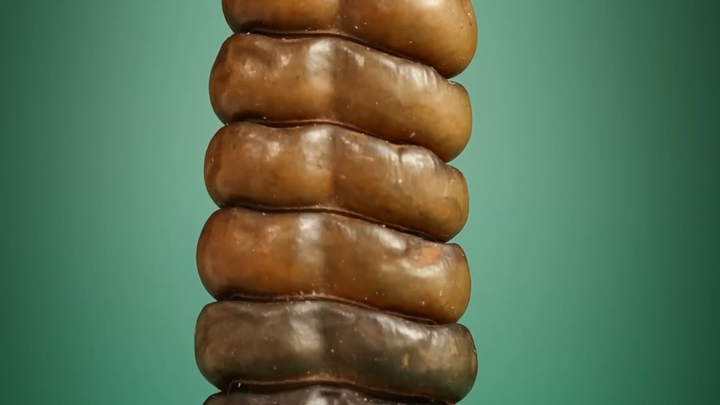 响尾蛇是如何发出声音的