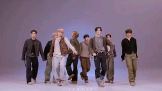 Ahof "Pinocchio" Choom Performance