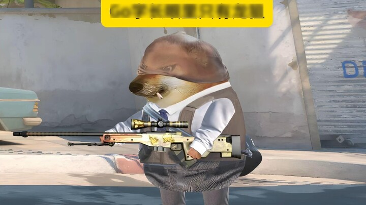 Senior Go chỉ để mắt đến Dragon Sniper
