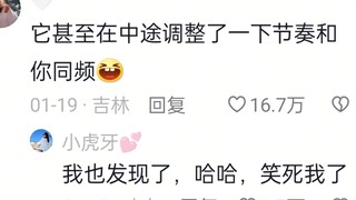 后来小猫沉默了很久，同意和我再次合奏！
