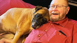 This is what true friendship looks like! 🐶 Cute Dog and Grandparent