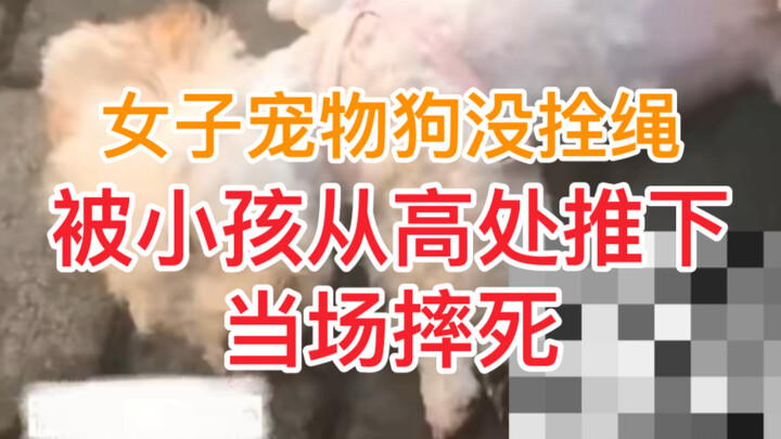 A woman’s unleashed pet dog was pushed off a high place by a kid and killed on the spot—what do you 