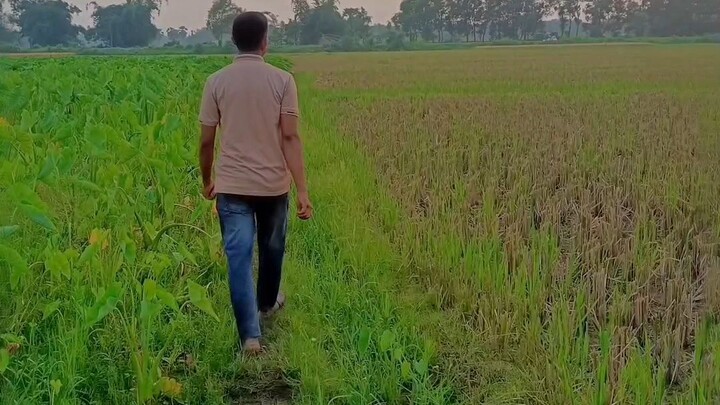 reel☺️🥰
