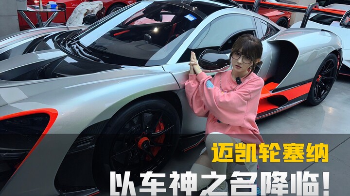 兄弟萌来看塞纳了！你心目中的神车是它吗～