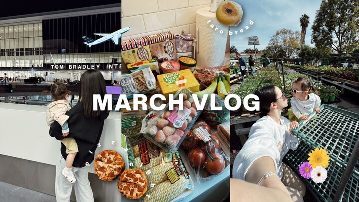 VLOG THÁNG 3 | Ông bà nội về nước | Quay lại vào bếp | Mỗi ngày gia đình ba người ăn gì? | Bánh mì k