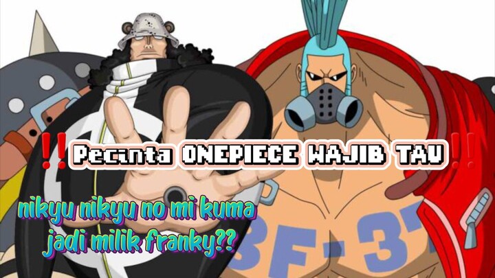 Nikyu nikyu kuma jadi milik kru mugiwara 😱