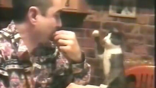 Clever cat raised by deaf-mute man learned to use gestures to communicate with him when he realized 