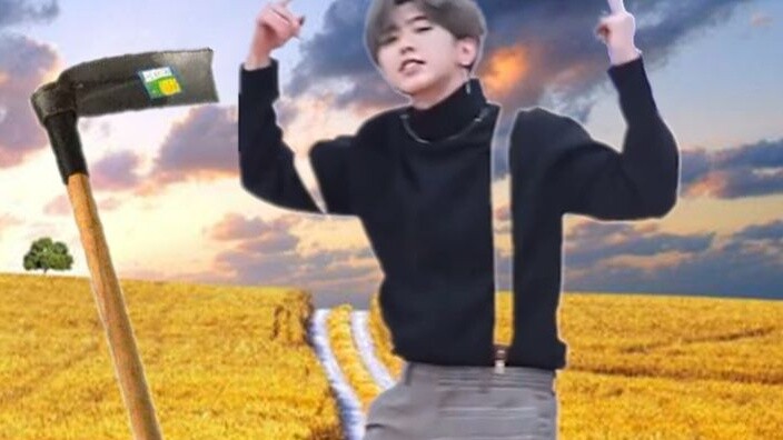 【Cai Xukun】Grain in Ear