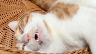 呀~我有你睡觉的视频哟