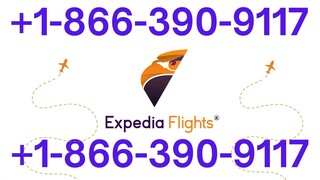 [Expedia Customer Service Number] | Detailed Guide to 24/7 Chat, Call & Email Support