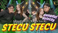 stecu stecu (versi koplo)