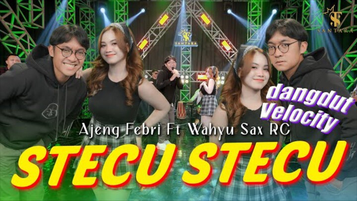 stecu stecu (versi koplo)