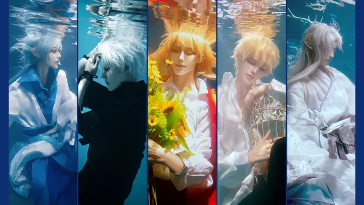 A cos collection of some underwater photography.