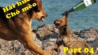 Động Vật Hài Hước | 🐱🐶 Video hài hước chó & mèo | Part 04