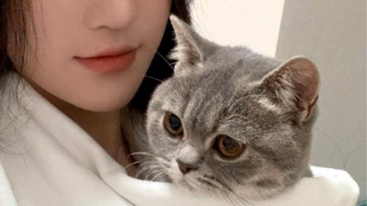 Mặc ngược chiếc áo hoodie có mũ là bạn đã có một “tổ mèo di động” rồi!