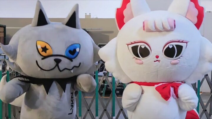 【JEWEL】Dance “Let’s Go” with lykyou—Sun Sun is awesome!