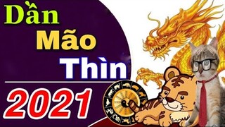 Tử Vi 2021 Người Tuổi DẦN - MÃO - THÌN | CÔNG DANH_SỰ NGHIỆP_TÌNH CẢM