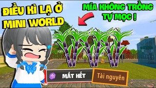 MẶP DORAM HOẢNG HỐT VÌ NHỮNG ĐIỀU KÌ LẠ XUẤT HIỆN TRONG MINI WORLD