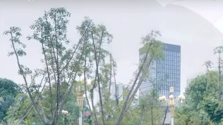 Thẩm Tinh Trầm 02