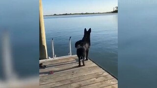 Những con người ngốc nghếch nhất hành tinh #82