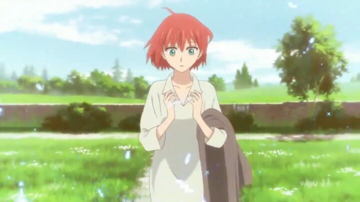 Mahoutsukai no Yome AMV - This Feels