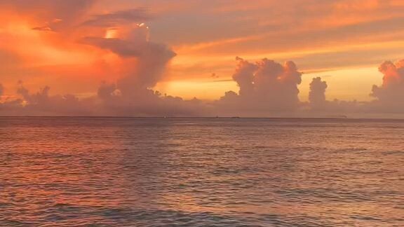 taraa pahingaa🌱💚