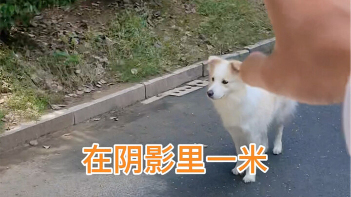 ที่แท้เจ้าแมวน้อยสีส้มมีแม่คอยอยู่เป็นเพื่อนนี่เอง ฉันเลยตัดสินใจล้มเลิกความคิดจะรับเลี้ยงมัน ส่วนเบ