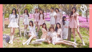 【高颜值最齐翻跳】Violeta-IZ*ONE永远的神