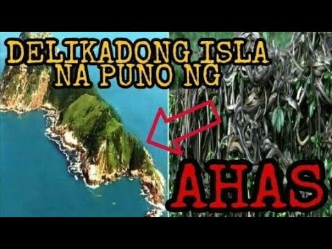 ISLA NA PUNO NG MGA AHAS - ISLANG MARAMING AHAS - SNAKE ISLAND