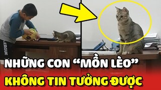 Lý do bạn không nên đặt NIỀM TIN vào bọn MỒN LÈO là đây 😂 | Yêu Lu