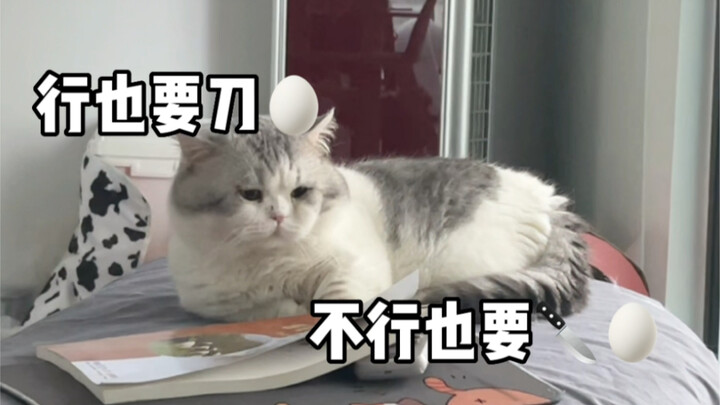 น้องเล็กคู่นี้ของฉันฝึกไปก็เสียเปล่า…