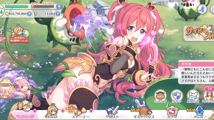 6* kuuka Princess connect re dive