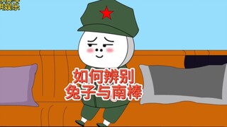 地球村！假如棒子冒充兔子，该如何辨别！