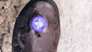 حذاء يتوافق مع آداب العصيدة