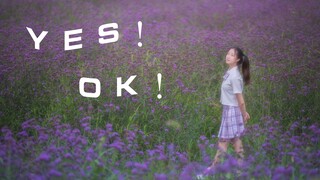 【三七】YES!OK!❀紫色花海里一起绽放吧❀