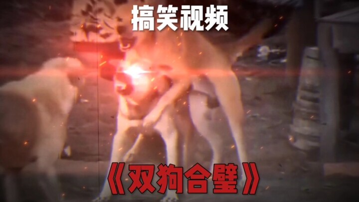 【Boys Paper ซีรีส์ & ภาพยนตร์】วิดีโอล่าสุดลงแล้ว ฝากติดตามด้วยนะ!