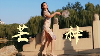 【suyo】芒种~【HB to妈妈】