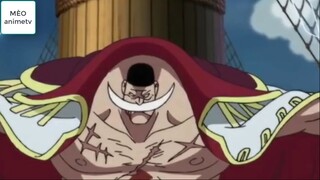 Râu Trắng Bố Già Hùng Mạnh Nhất của One Piece _5