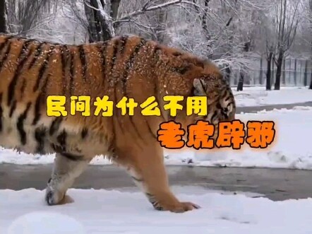 Mengapa masyarakat awam tidak menggunakan harimau untuk menangkal roh jahat?