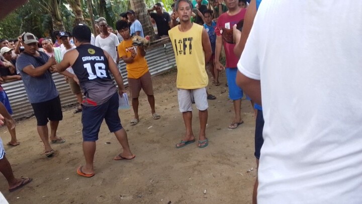 first fight win buyogin vs talisay 11k parada ng talisay